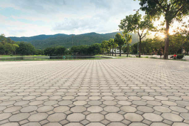  Carthage, NY Driveway Pavers Pros