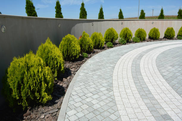 Best Driveway Paving Contractor  in Carthage, NY